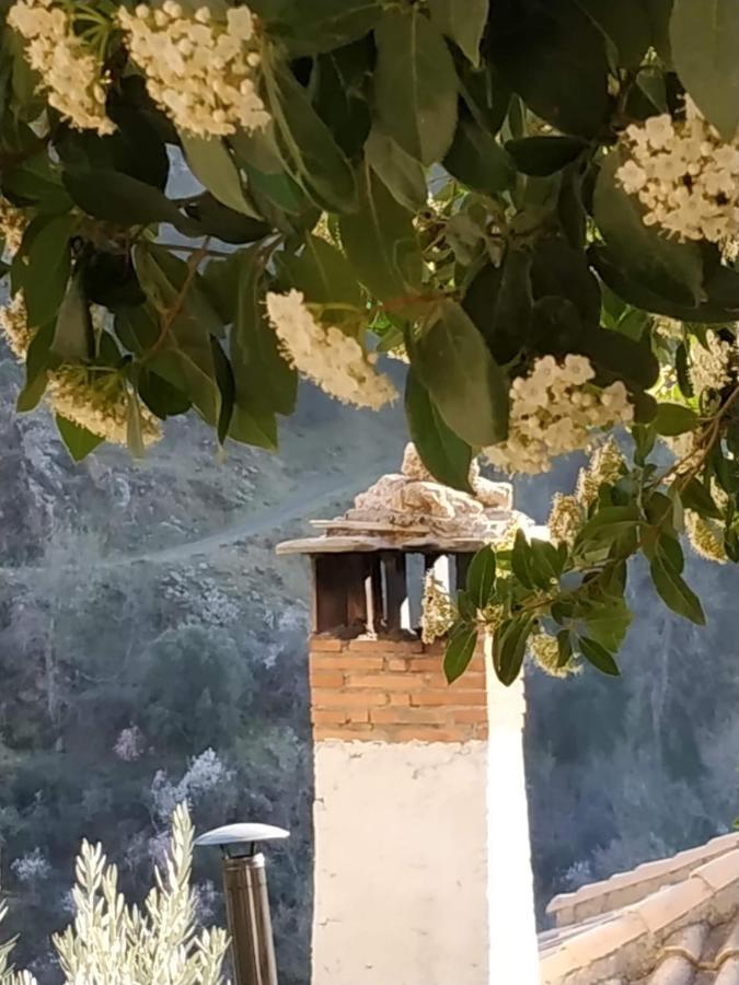 Maison d'hôtes Cortijo La Solana à Guejar Sierra Extérieur photo