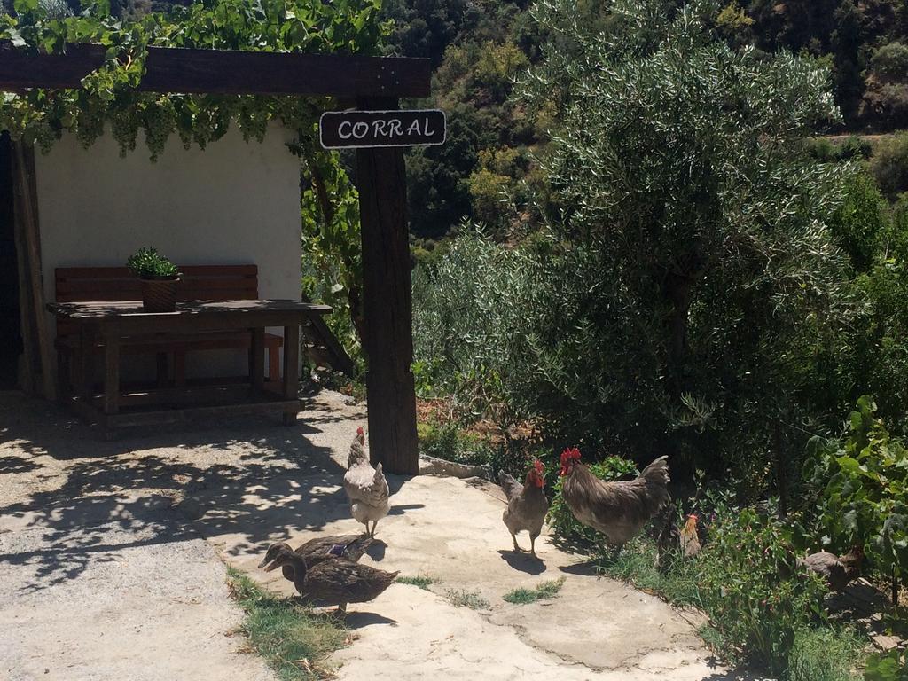 Maison d'hôtes Cortijo La Solana à Guejar Sierra Extérieur photo
